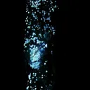 Scheelite, Quartz (Var: Smoky Quartz) - image 2