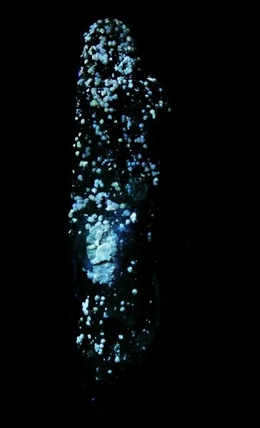 Scheelite, Quartz (Var: Smoky Quartz) - image 2