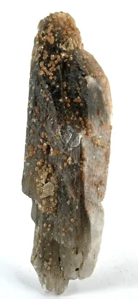 Scheelite, Quartz (Var: Smoky Quartz) image