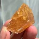 specimen video