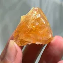 specimen video