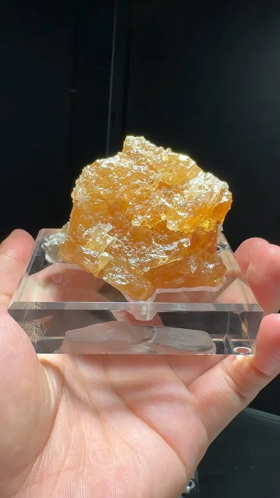 specimen video