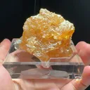 specimen video