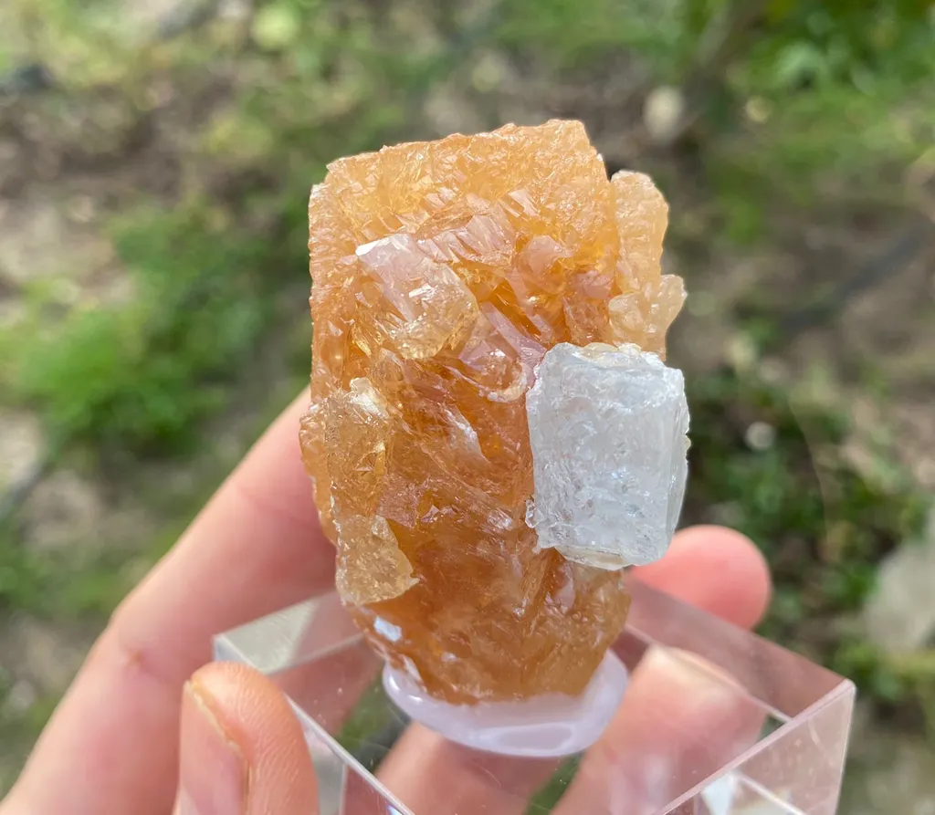 Scheelite with Aquamarine - image 5