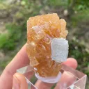 Scheelite with Aquamarine - image 5