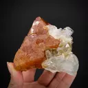 Scheelite with Aquamarine and Quartz - image 2