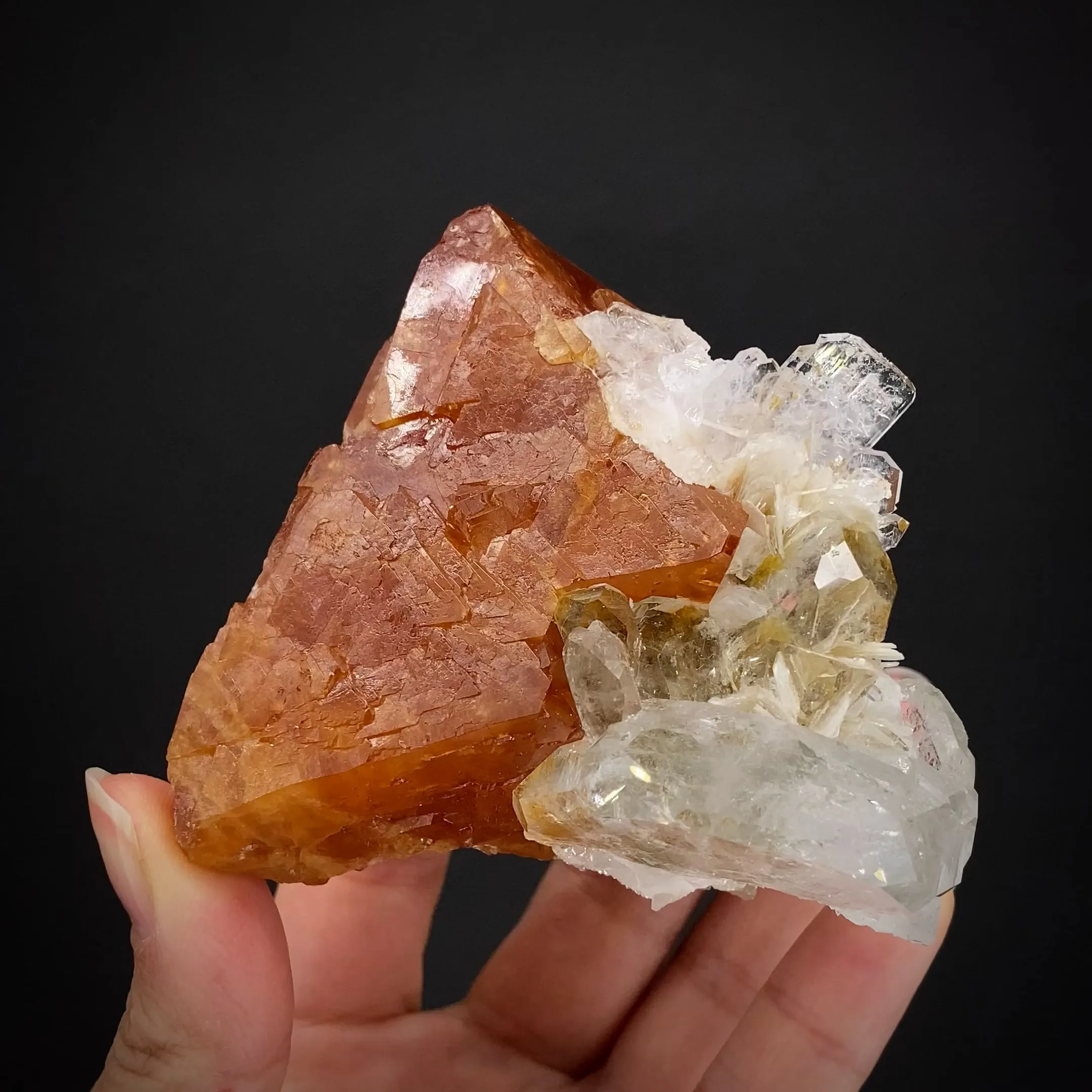 Scheelite with Aquamarine and Quartz - image 2