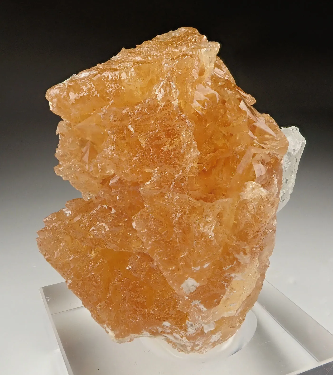 Scheelite with Aquamarine - image 4