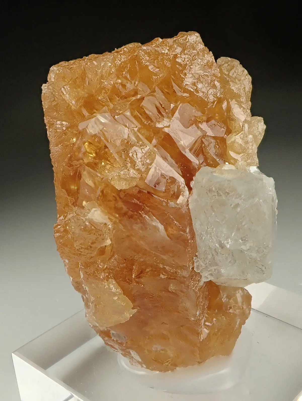 Scheelite with Aquamarine - image 3