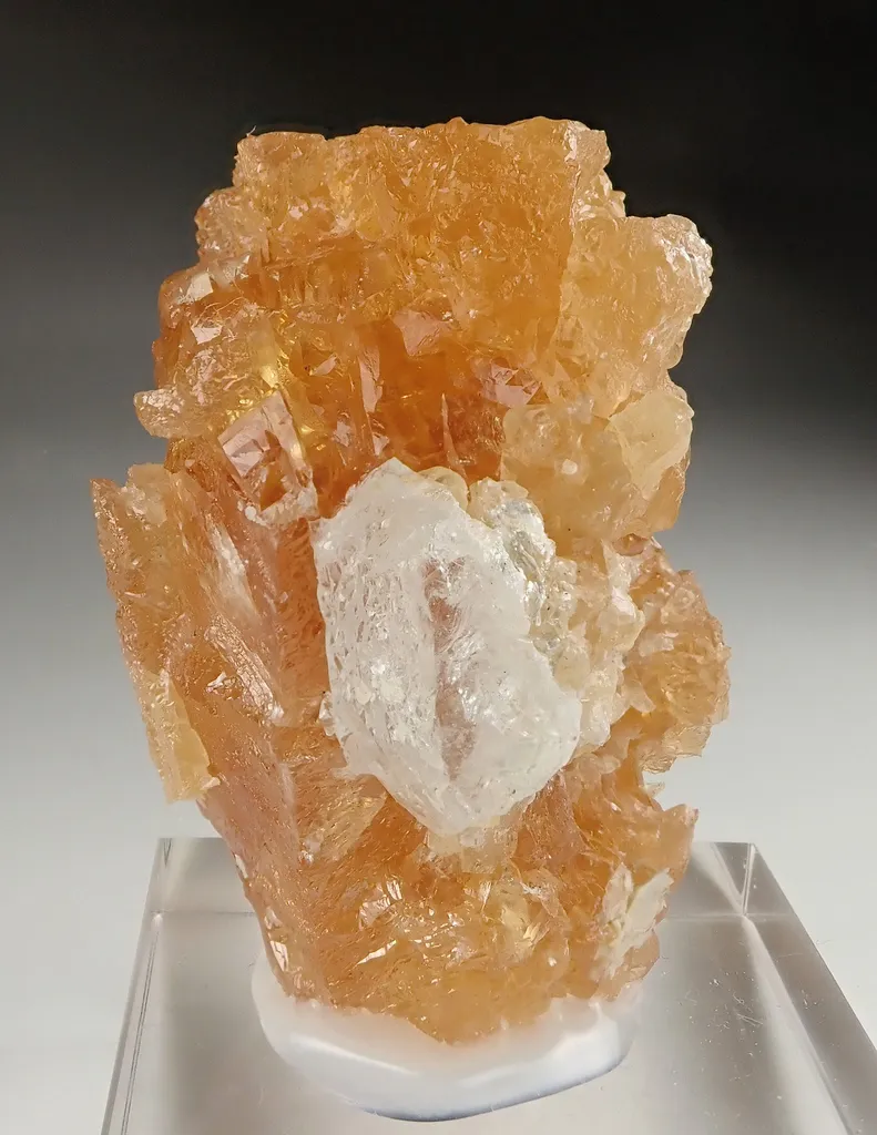 Scheelite with Aquamarine image