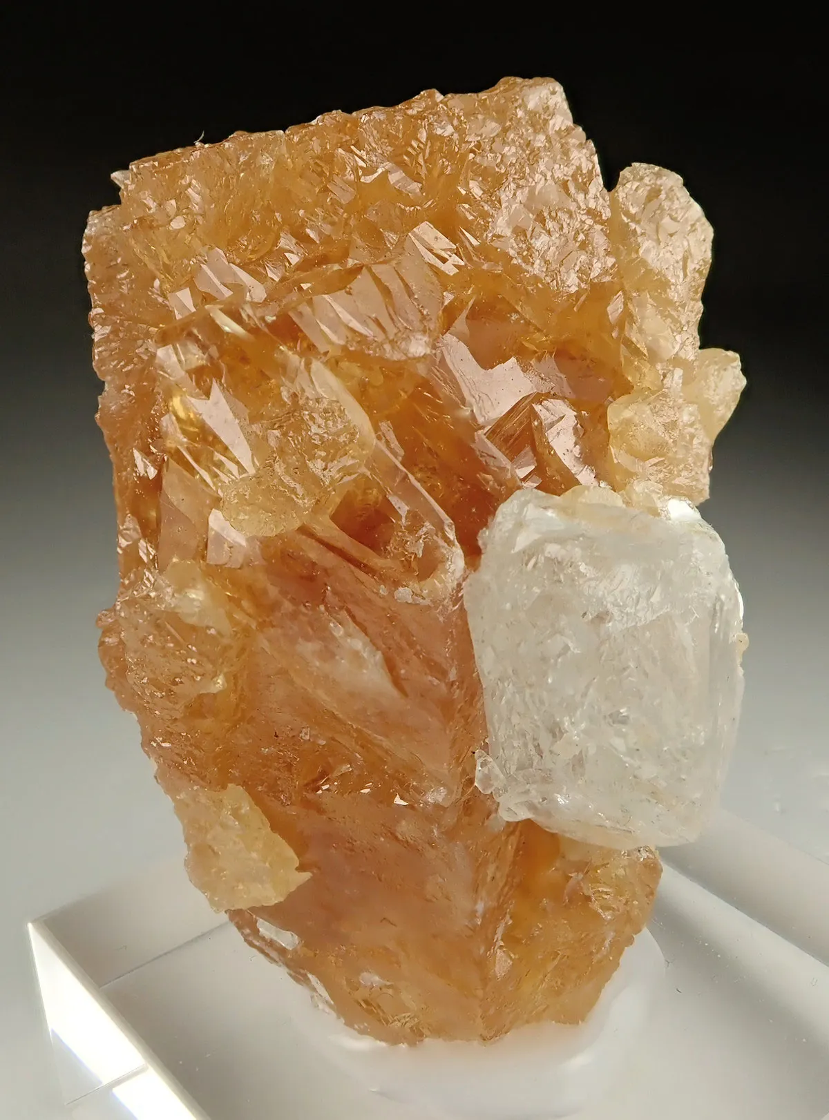 Scheelite with Aquamarine - image 2