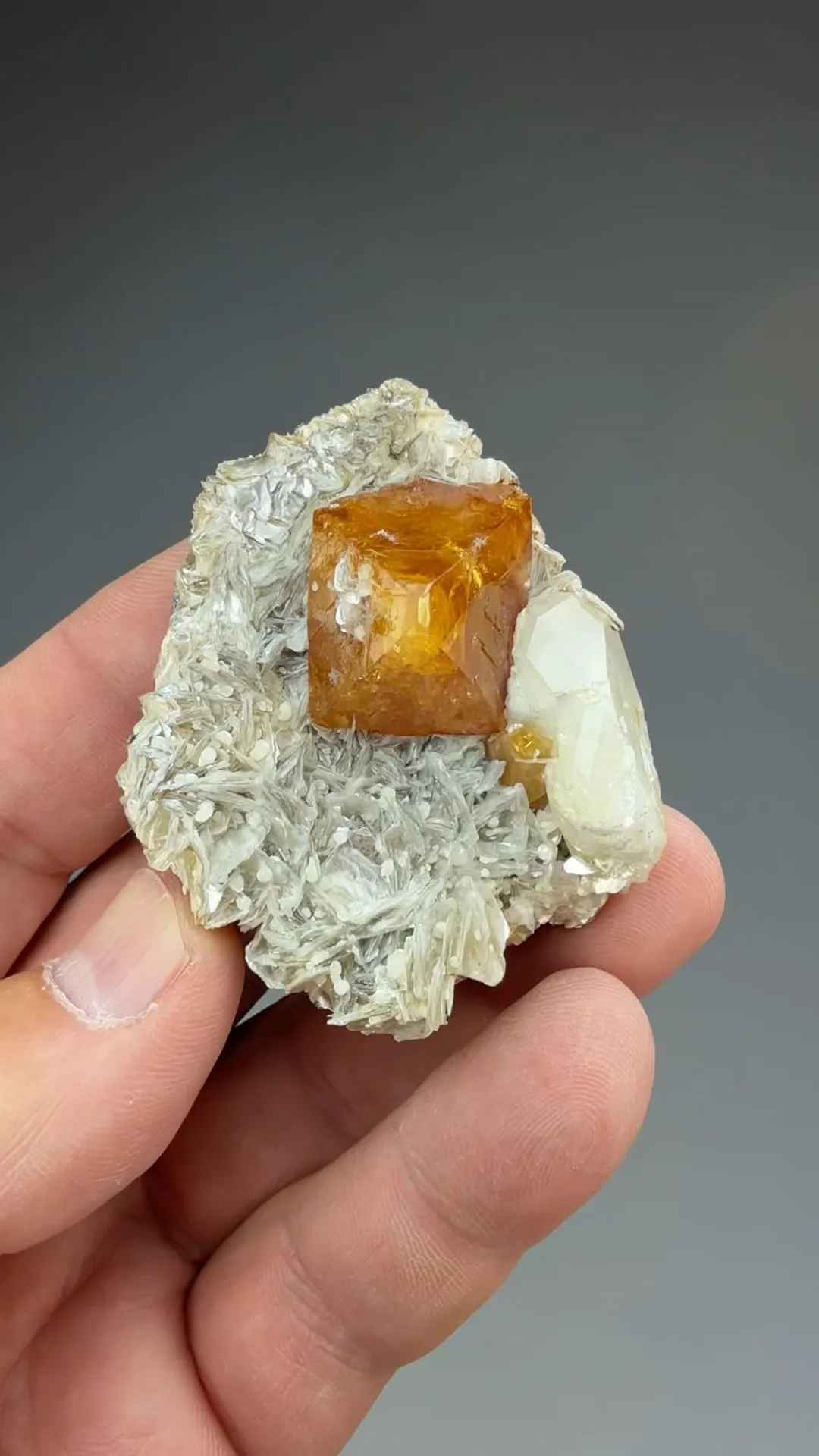 Scheelite with Beryl, Muscovite - image 2