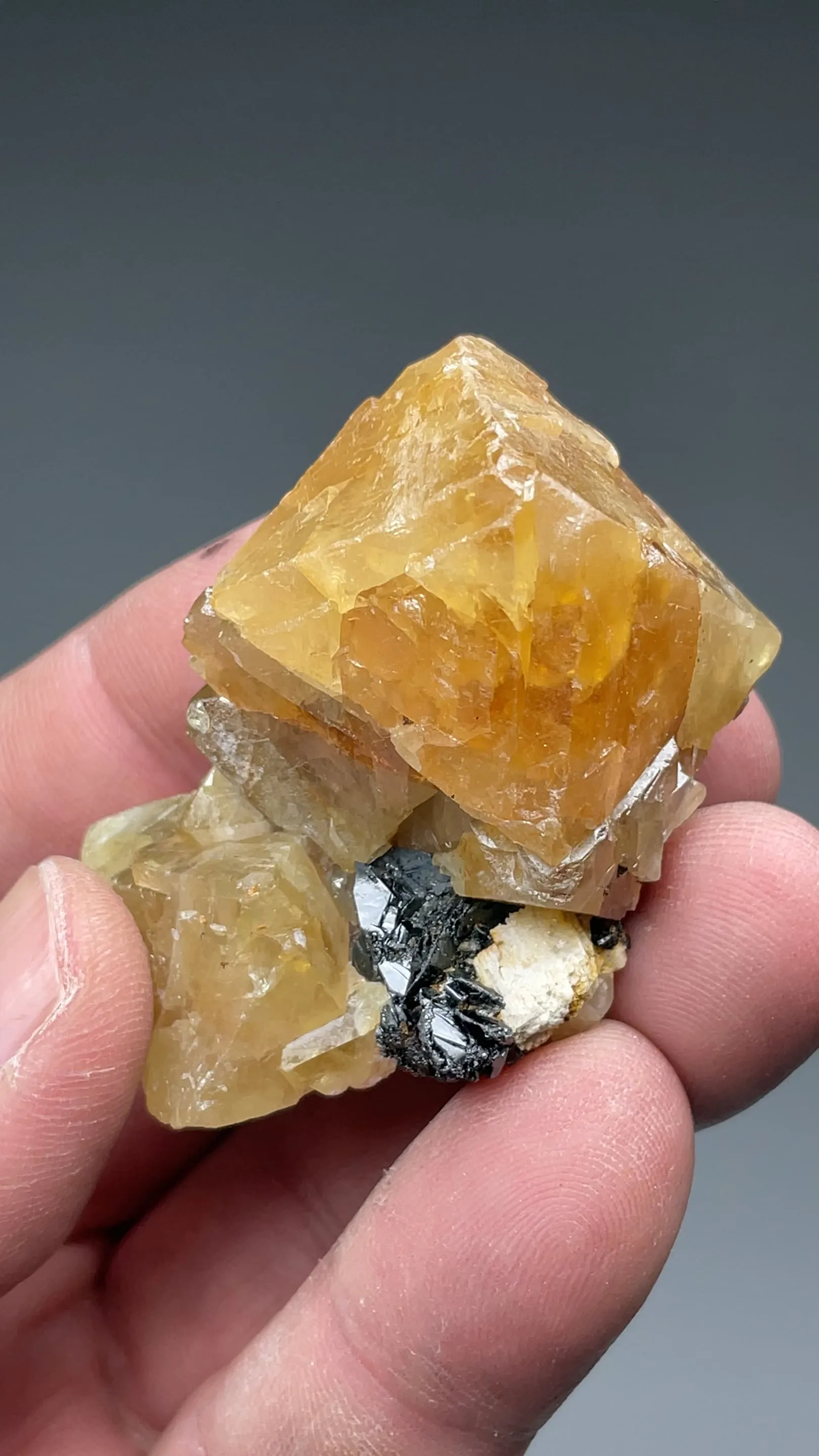 Scheelite with Cassiterite - image 2