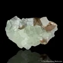 Scheelite with Fluorite - image 1
