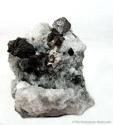 Scheelite With Fluorite on Quartz image