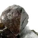 Scheelite With Fluorite on Quartz - image 2