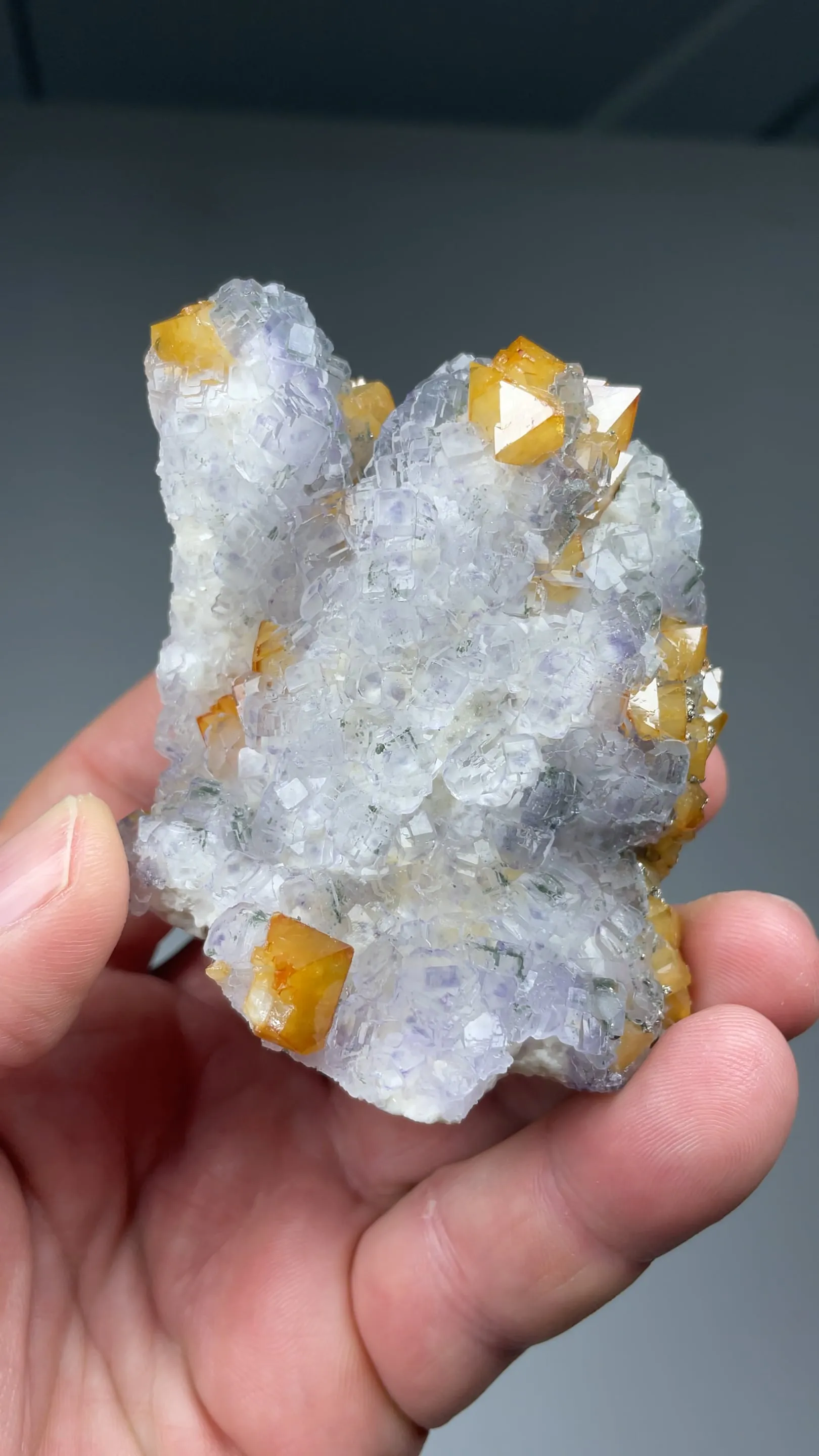 Scheelite with Fluorite, Pyrite - image 2