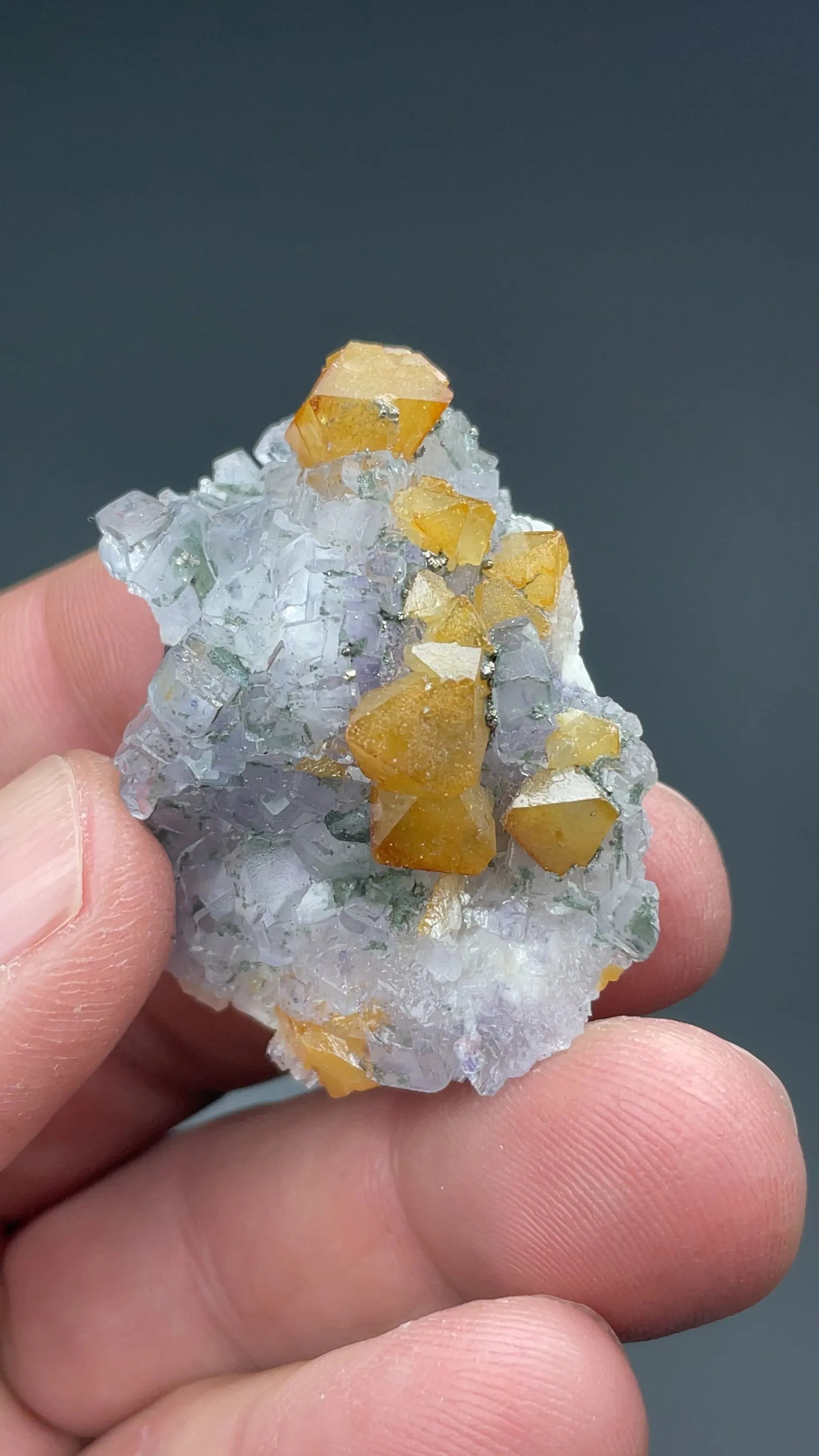 Scheelite with Fluorite, Pyrite - image 2