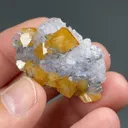 Scheelite with Fluorite, Pyrite - image 2