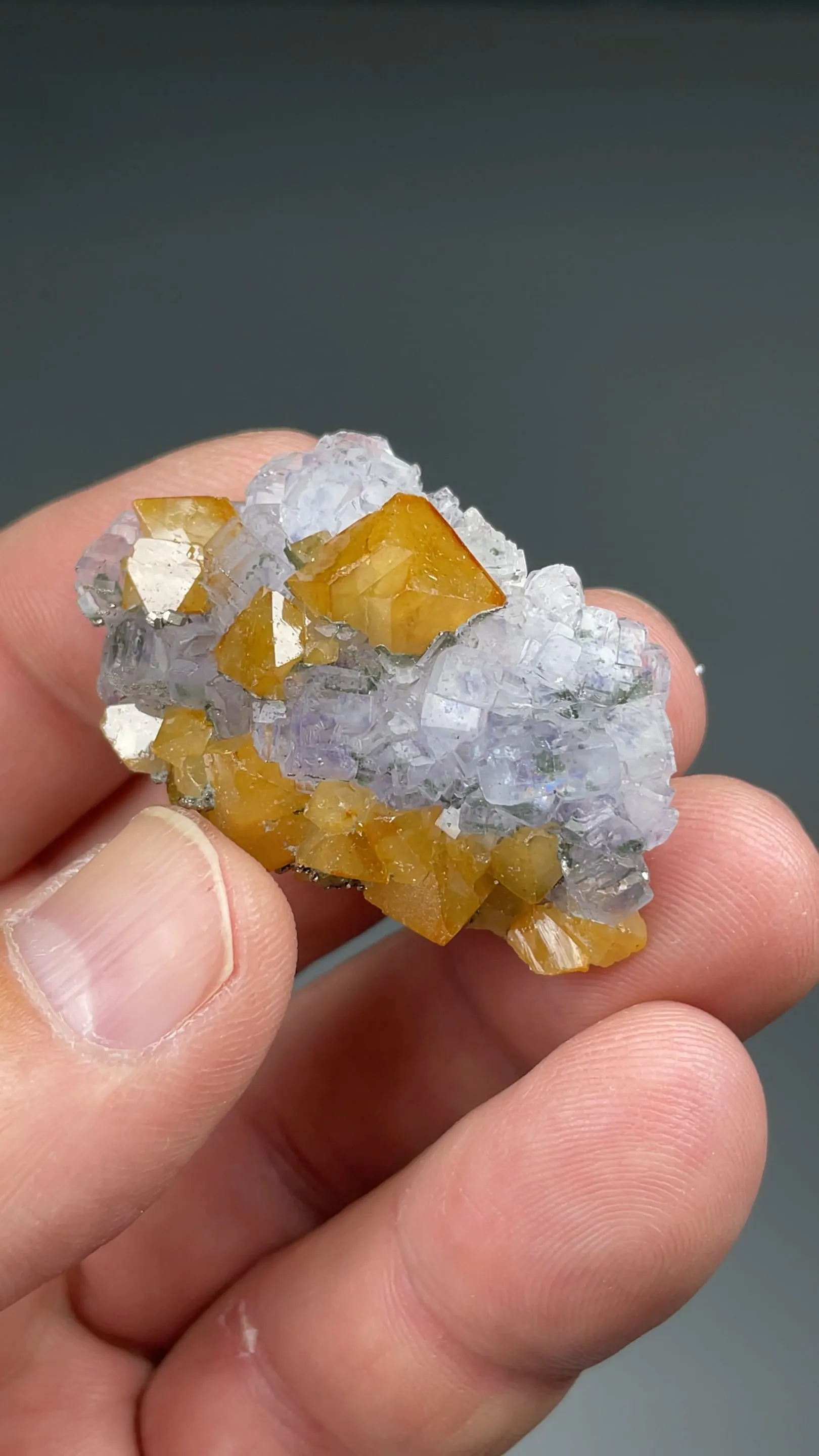 Scheelite with Fluorite, Pyrite - image 2