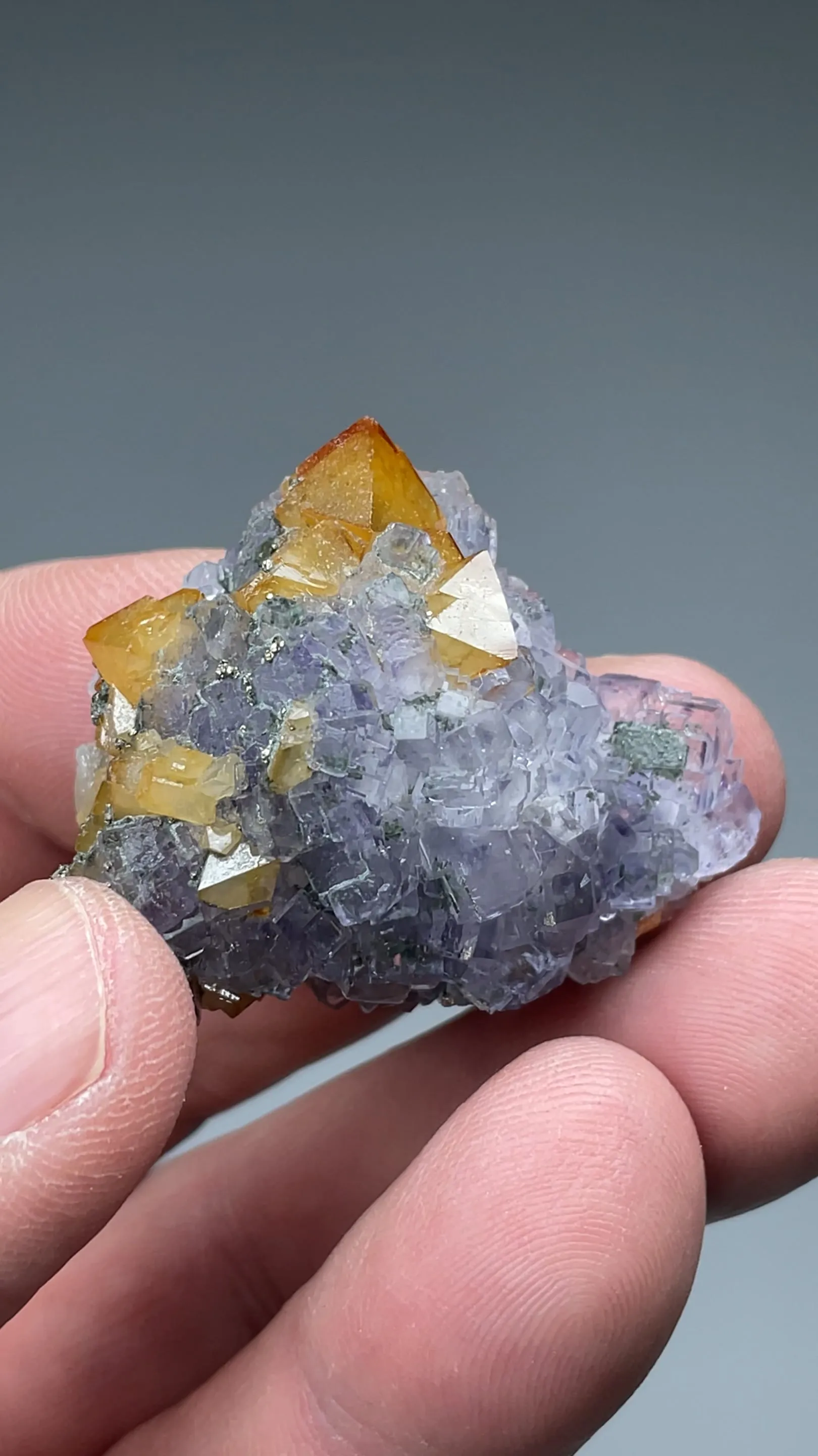 Scheelite with Fluorite, Pyrite - image 2