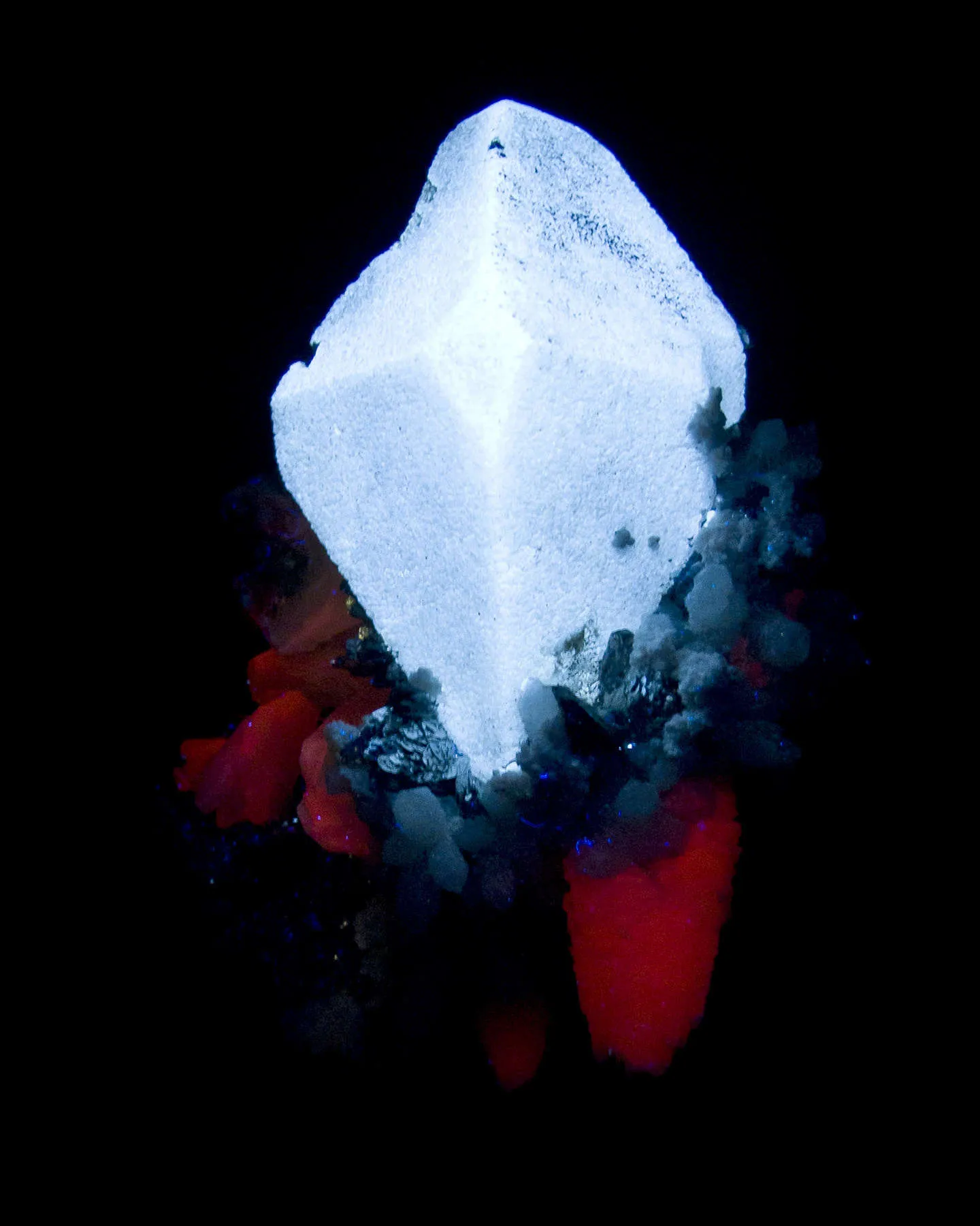 Scheelite With Lollingite, Quartz - image 3