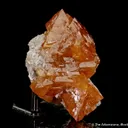 Scheelite with Muscovite - image 5