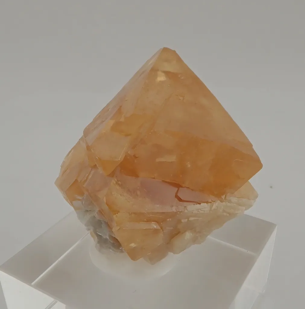 Scheelite with Muscovite - image 2
