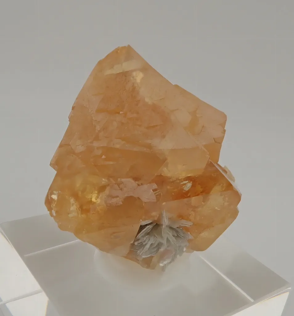 Scheelite with Muscovite image