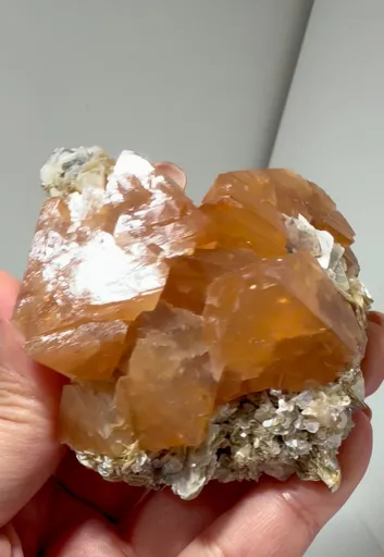 specimen video