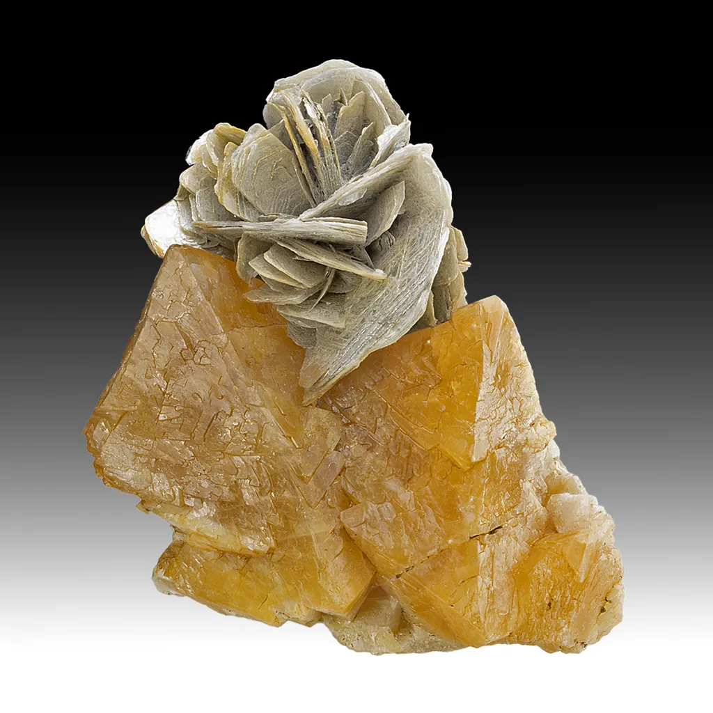 Scheelite with Muscovite image