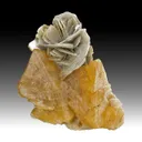 Scheelite with Muscovite - image 1