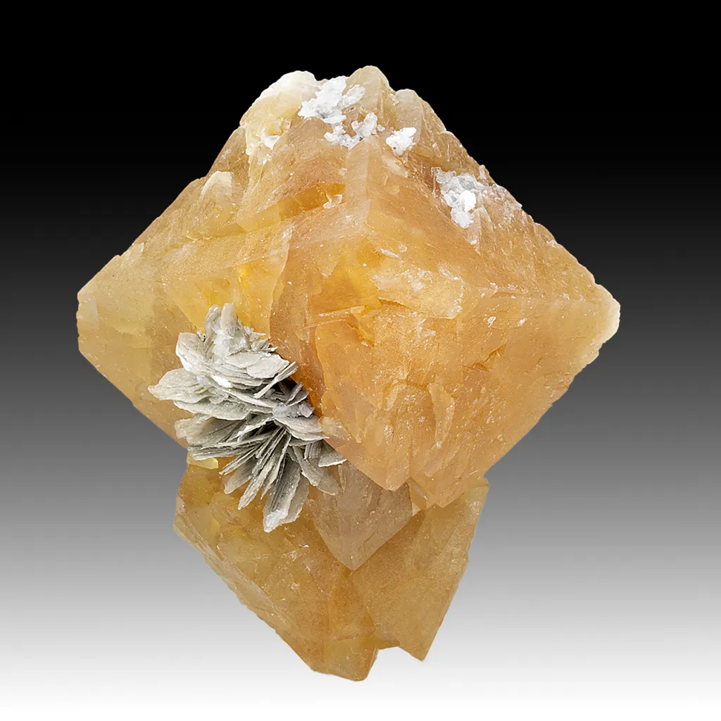 Scheelite with Muscovite image