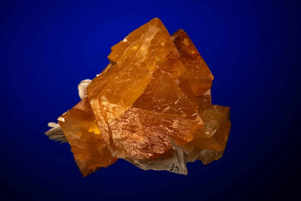 Scheelite with Muscovite image