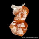 Scheelite with Muscovite - image 5