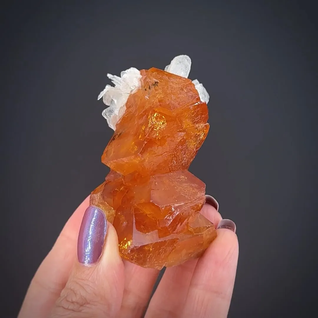 Scheelite with Muscovite - image 2