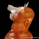 Scheelite with Muscovite - image 4