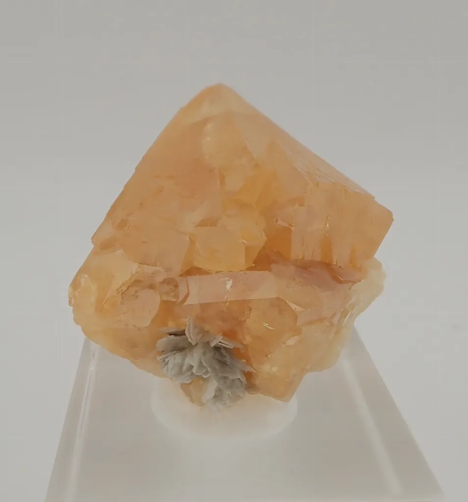 Scheelite with Muscovite - image 3