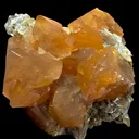 Scheelite with Muscovite - image 3