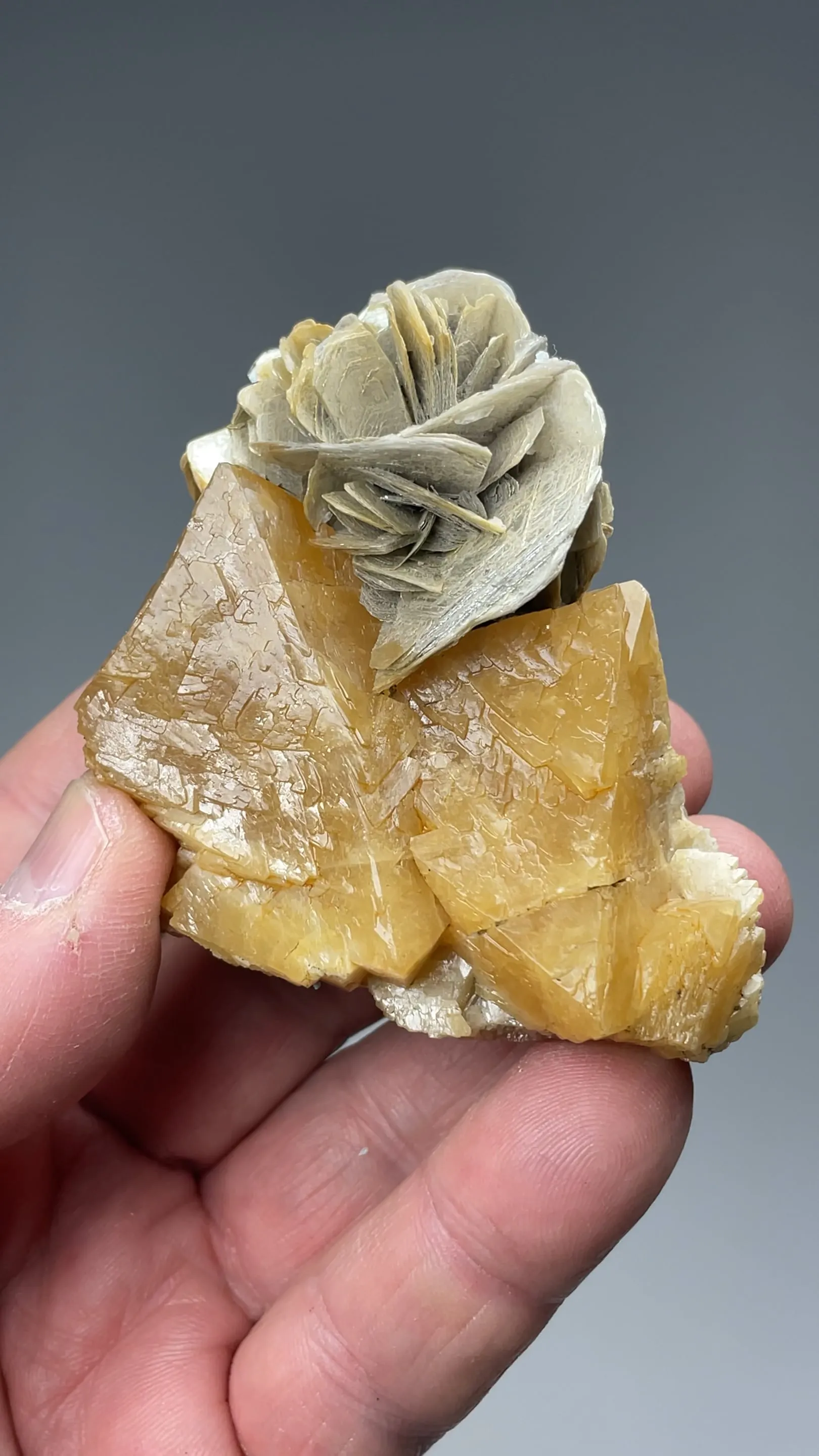 Scheelite with Muscovite - image 2