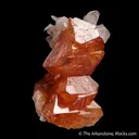 Scheelite with Muscovite - image 6