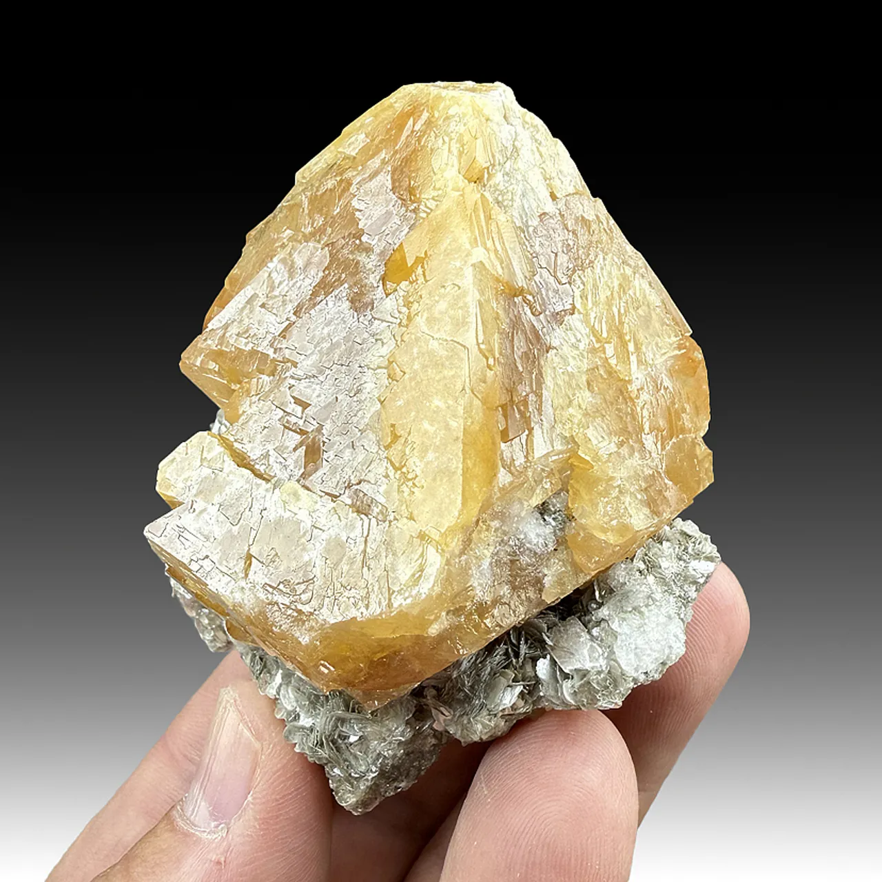 Scheelite with Muscovite, Albite - image 1