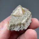 Scheelite with Muscovite - image 2