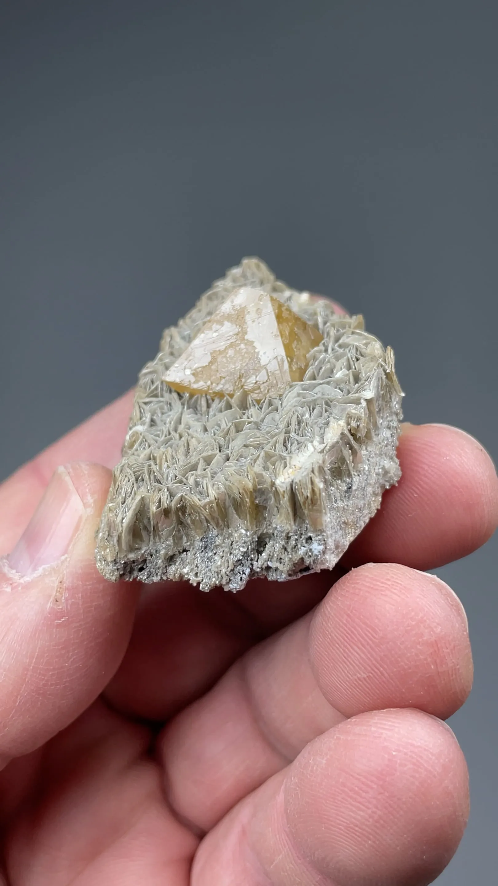 Scheelite with Muscovite - image 2