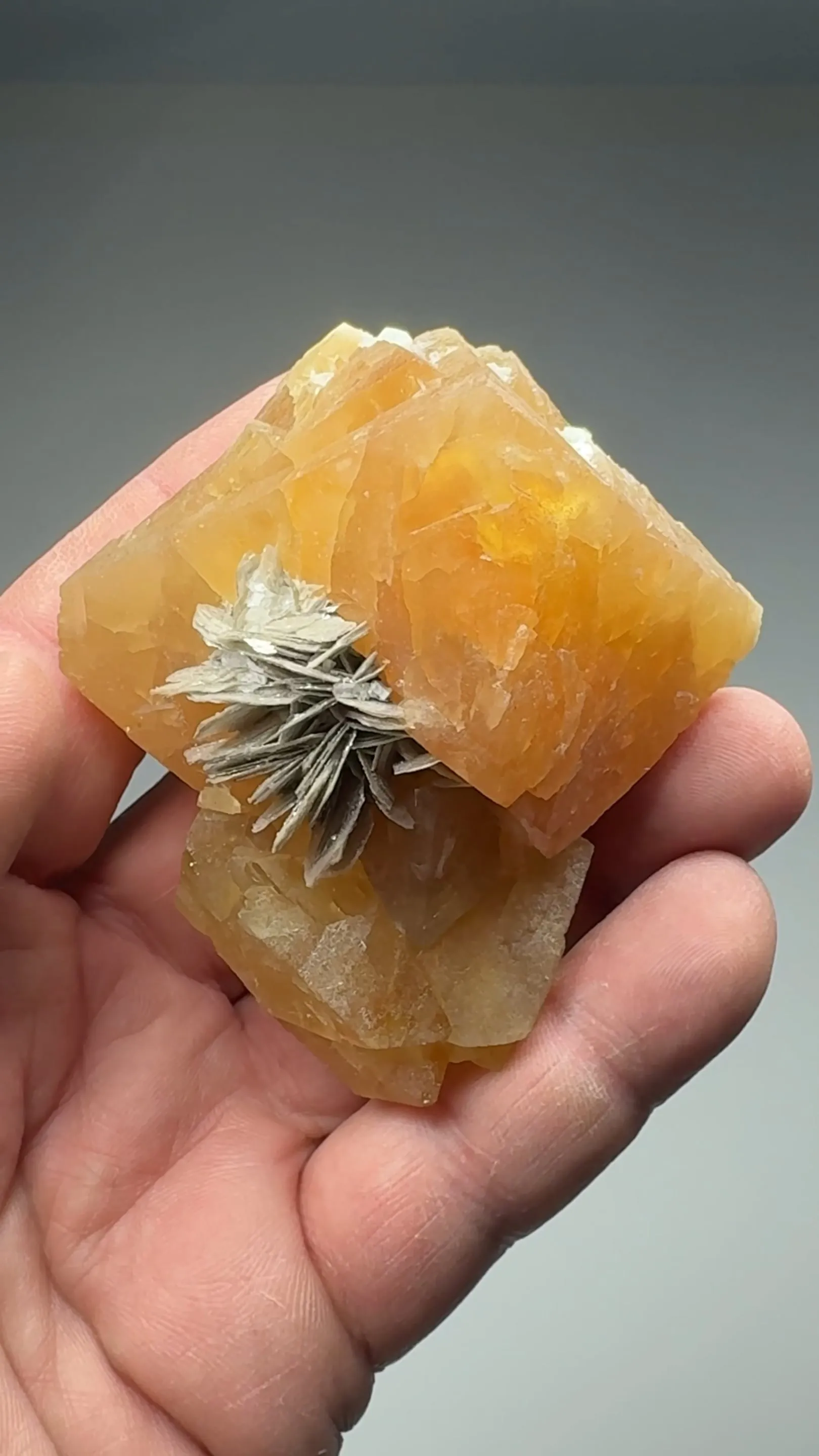 Scheelite with Muscovite - image 2