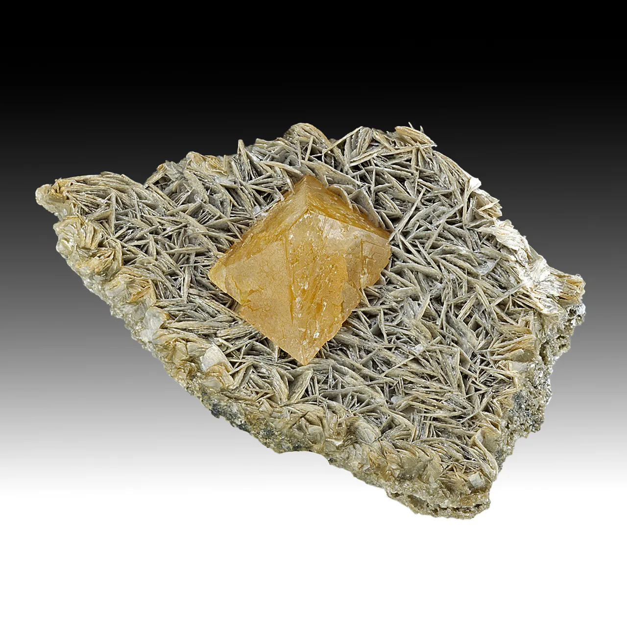 Scheelite with Muscovite - image 1