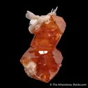 Scheelite with Muscovite - image 1