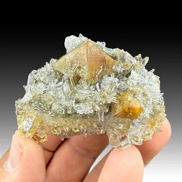 Scheelite with Quartz