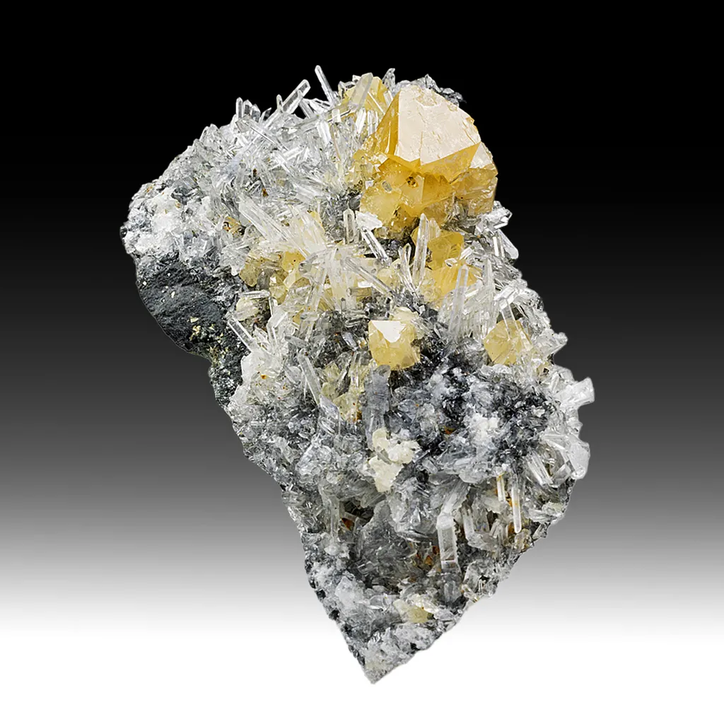 Scheelite with Quartz image