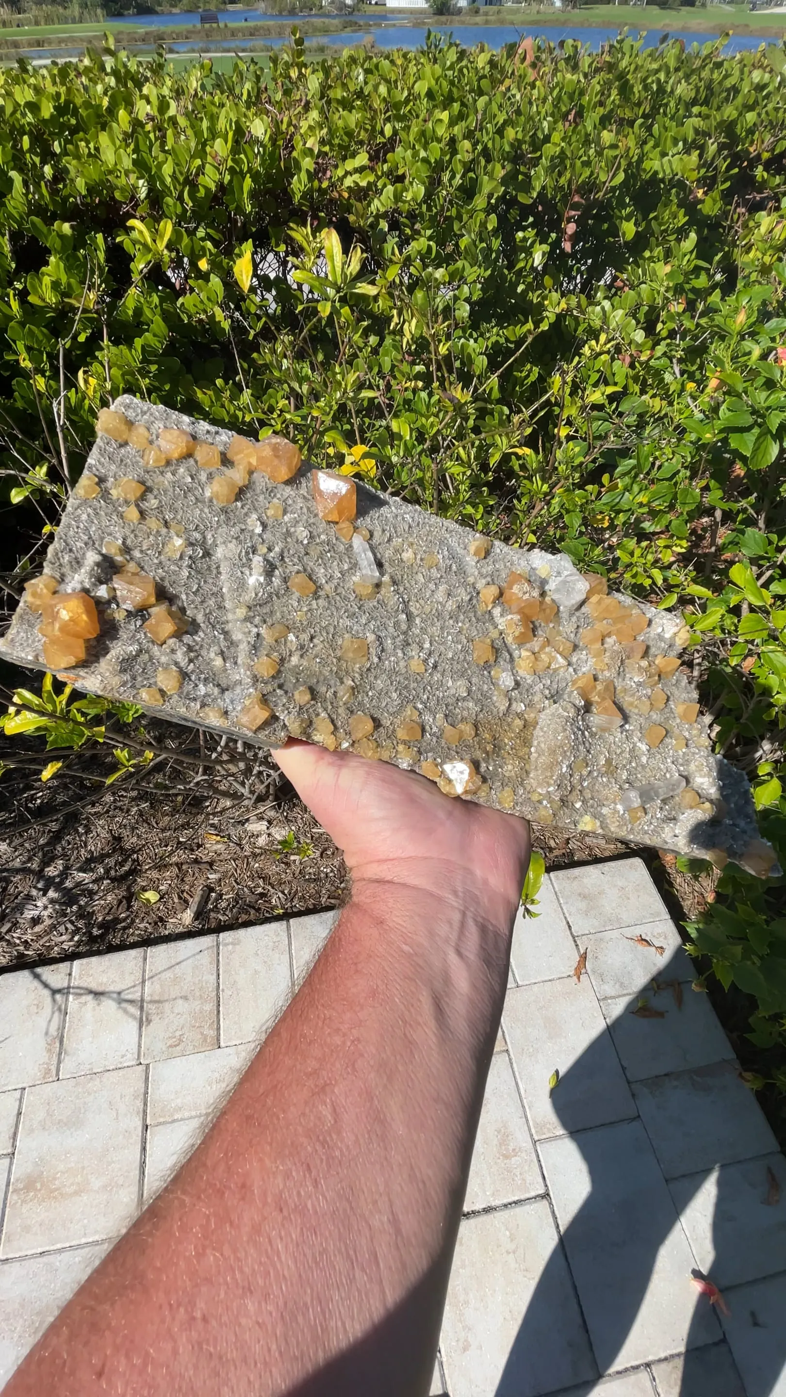 Scheelite with Quartz - image 2